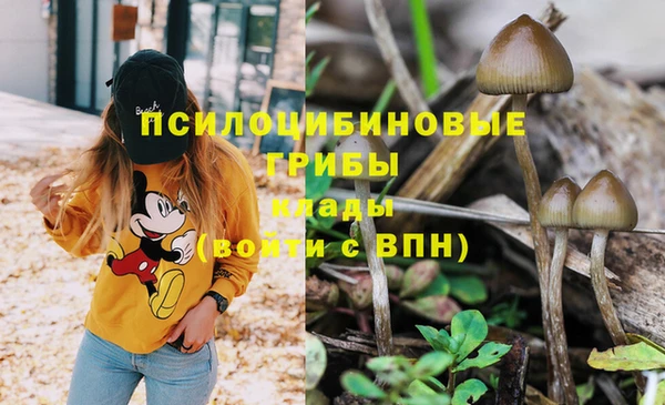 MDMA Переславль-Залесский