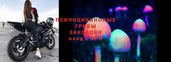 СК Пестово