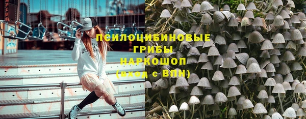 СК Пестово