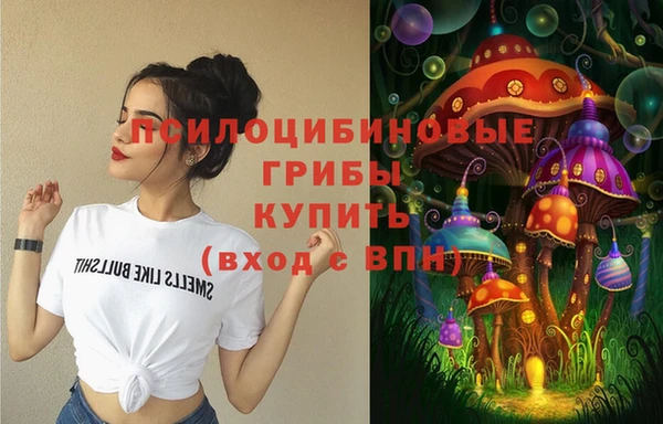 таблы Пересвет