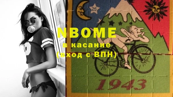 шишки Весьегонск