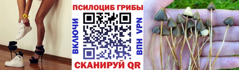 Галлюциногенные грибы мицелий Бабаево
